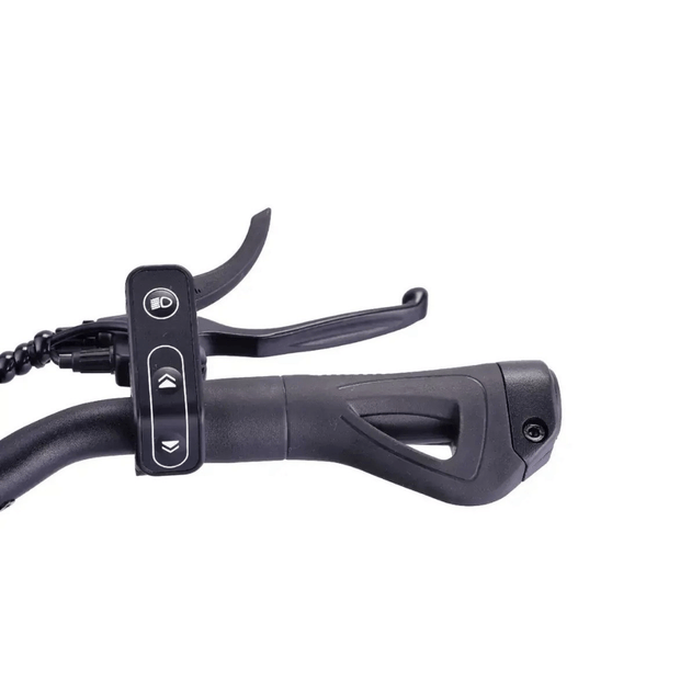 VSETT 10 APEX Electric Scooter