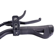 VSETT 8 APEX Electric Scooter